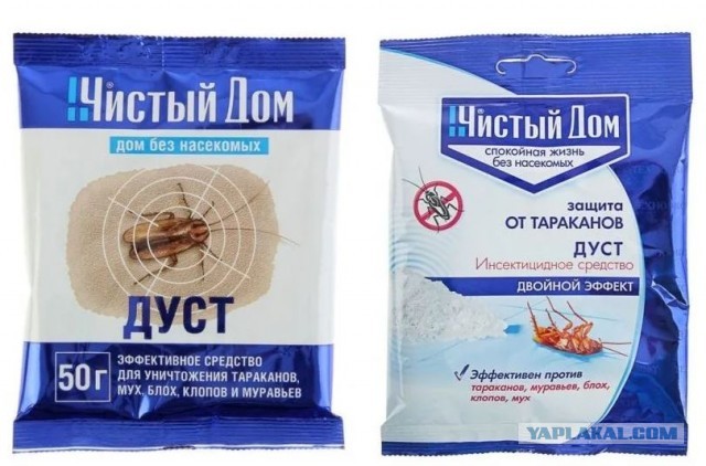 Клопы в доме. Нужны одекватные советы