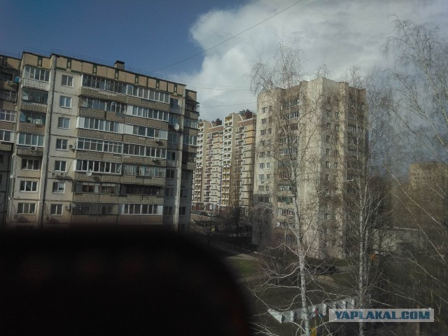 А какая у Вас сегодня весна за окном?!