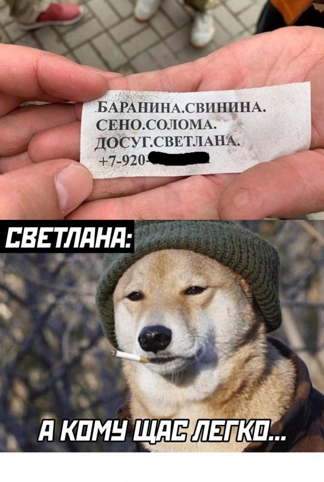 Весёлый полтишок 30.09.22