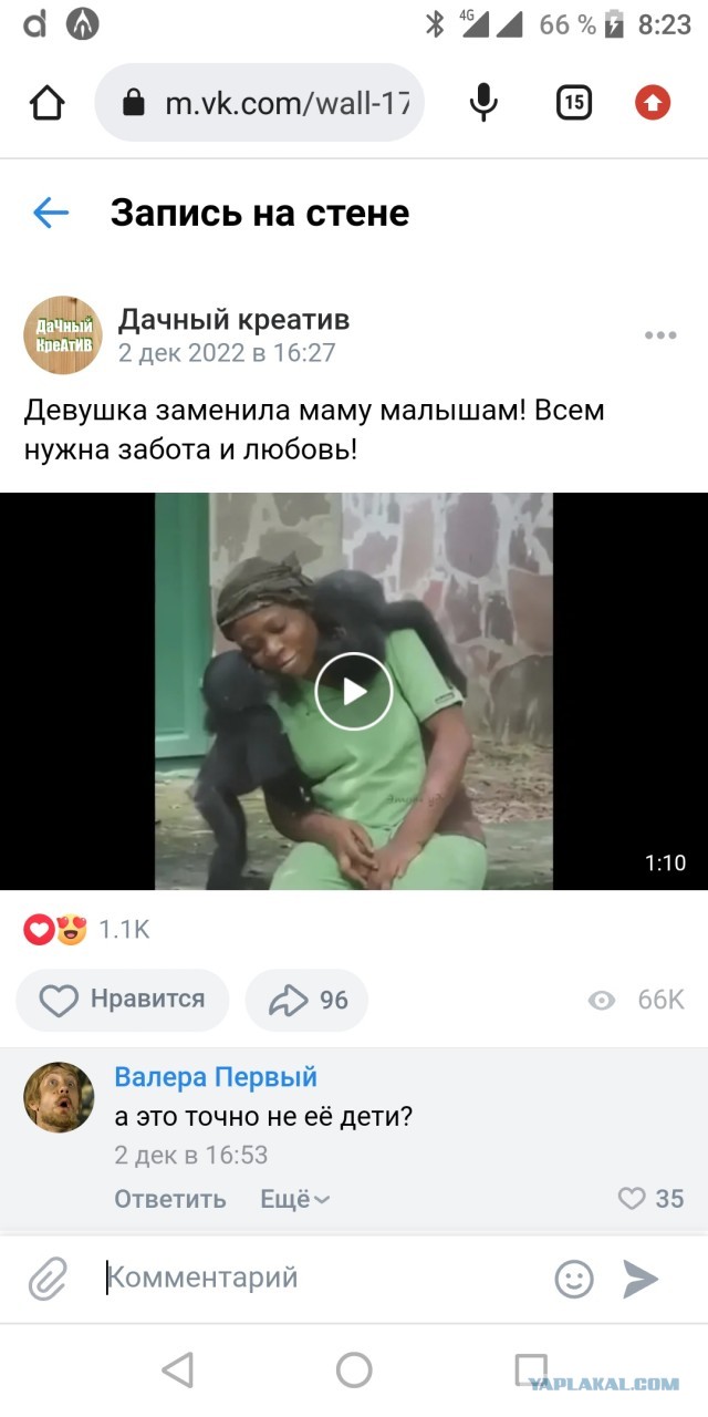Скриншоты и комментарии из социальных сетей 10.12.22