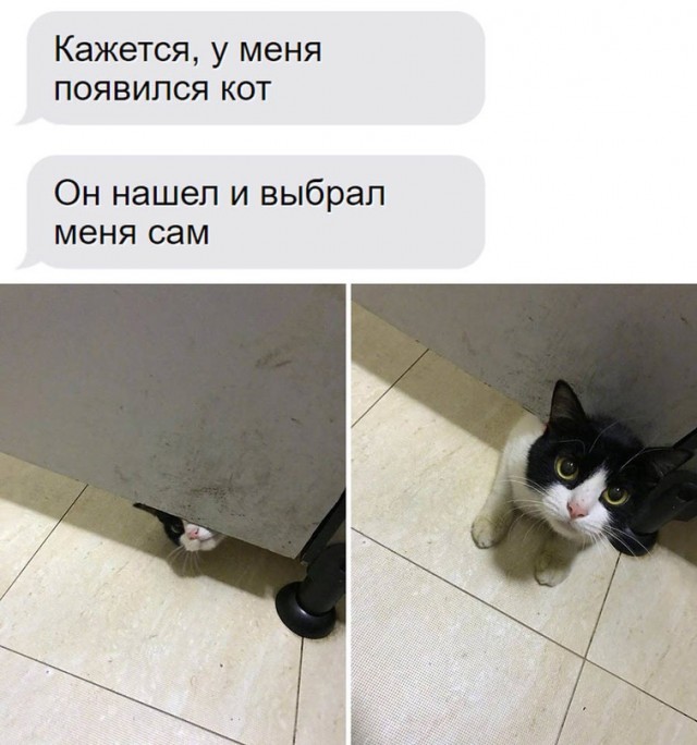 Картинки и мемы для настроения - 125
