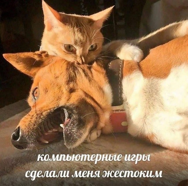 В Якутске семиклассник покончил с собой, после того как родители не дали ему денег на новый ПК