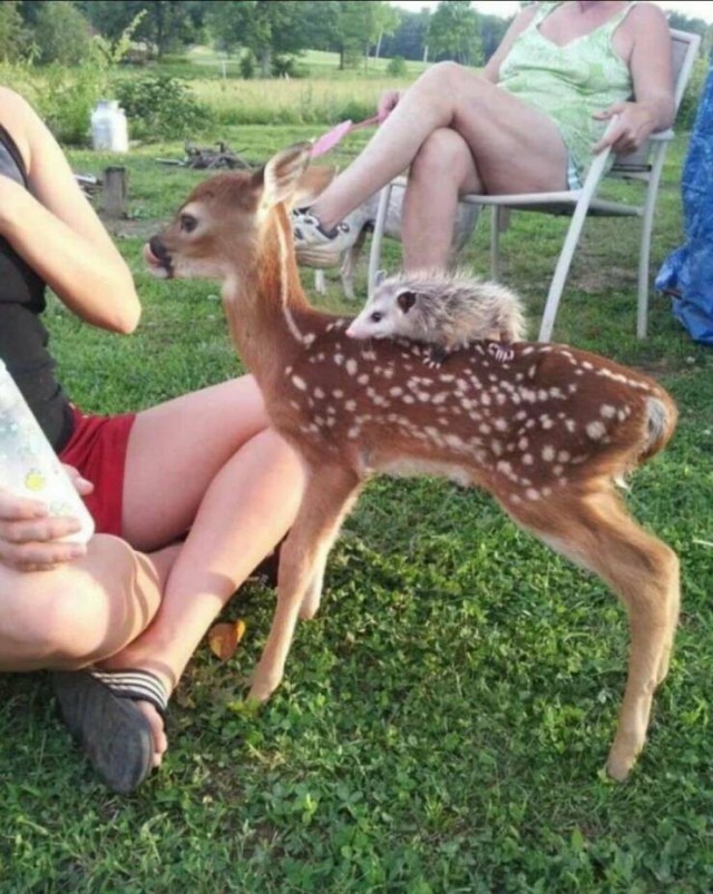 Подборка интересных и прикольных фото из Сети 01.04.23