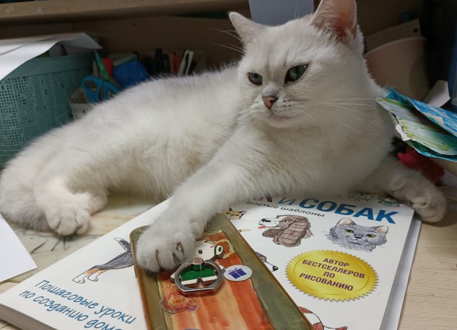 Котовторник