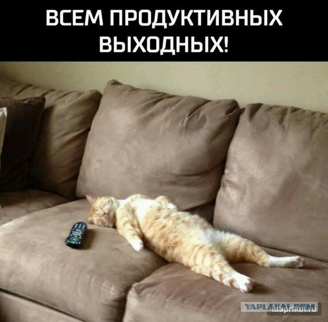 Жить ли с РСП?