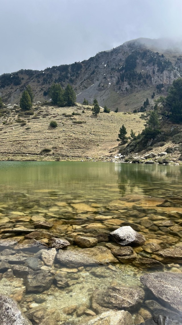 Рыбка на костре