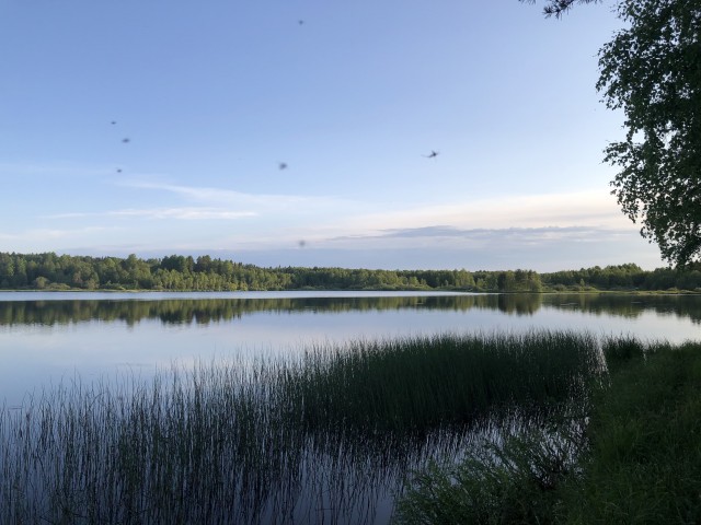 На пляжах Анапы закончились не только лежачие, но и сидячие места. Загорать там можно только стоя