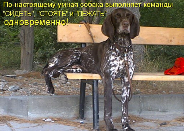 Когда отключил полный привод