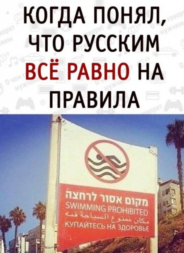 Так себе картинки 12.10.23