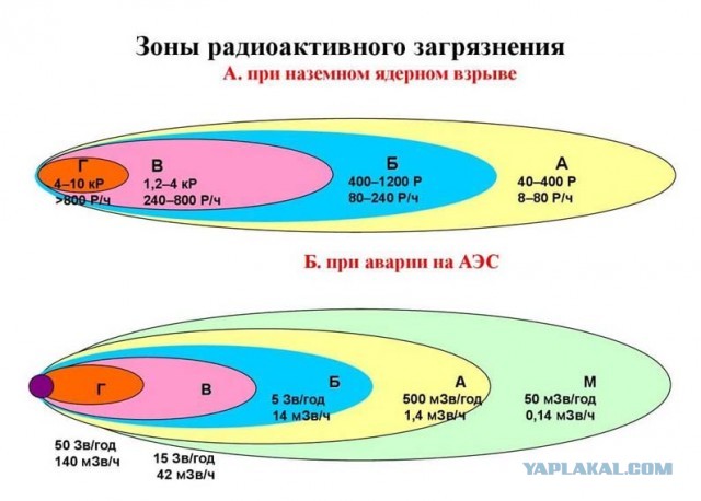 Выживальщики. Отделяем мух от котлет.