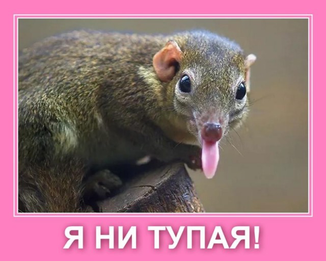 Женщины...