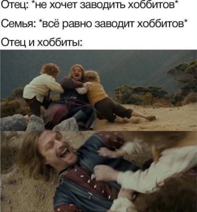 Весёлый полтишок 23.01.24