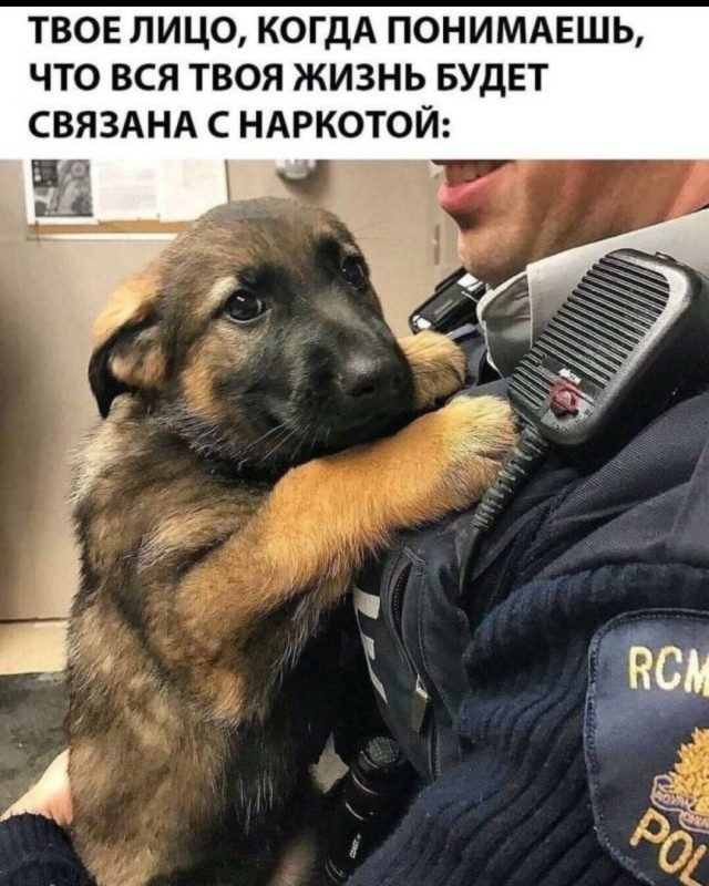 В Амстердаме могут легализовать кокаин
