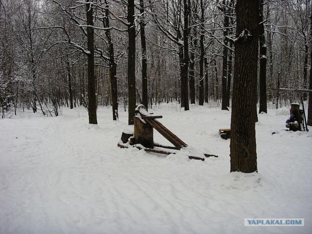 Качалка в лесу (19 фото)