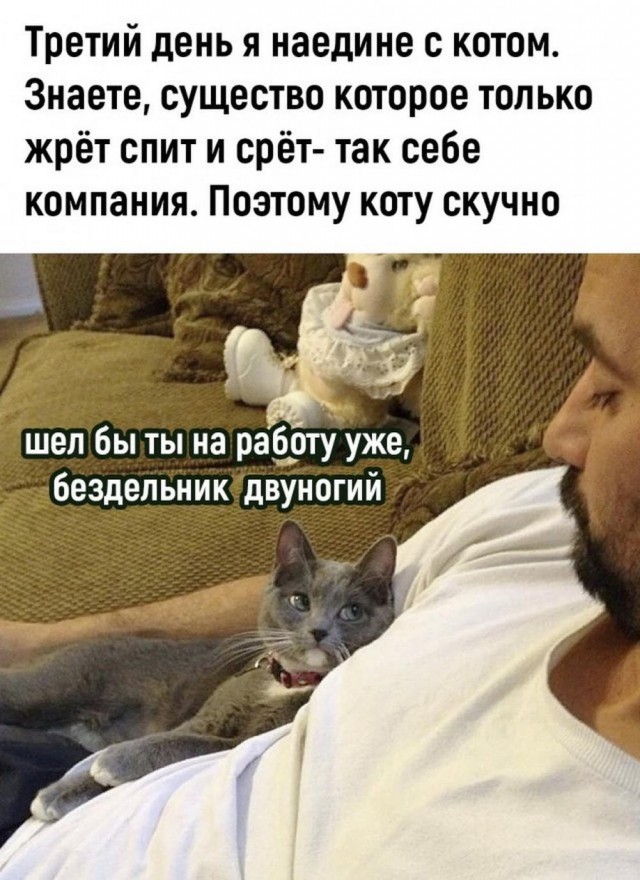Отряд быстрого деградирования