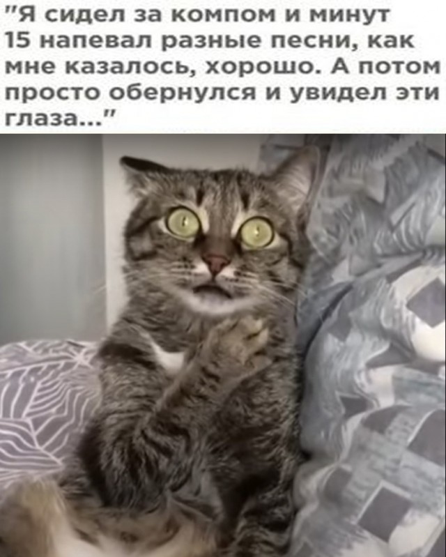 Так себе картинки 15.05.24
