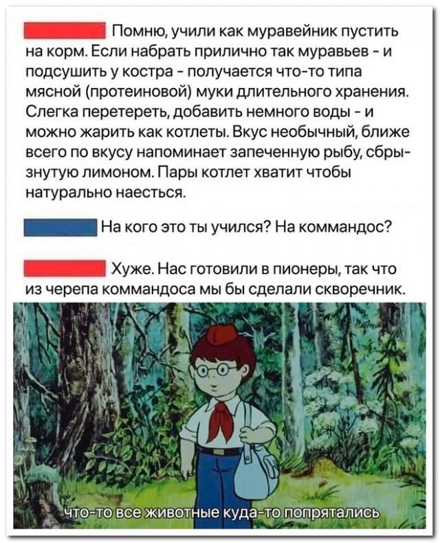 Забавные комментарии из социальных сетей (28.05.24)