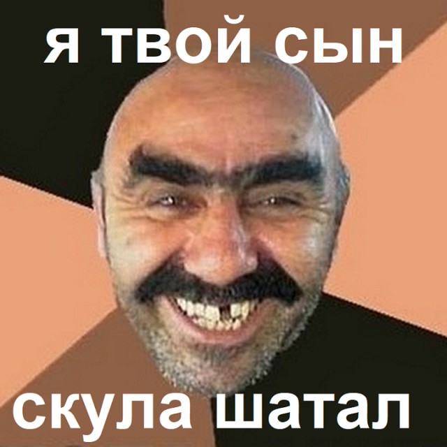 «Я не позволю никакой диаспоре замять этот вопрос»: Милонов рассказал, что его сын подрался в школе с мальчиком-дагестанцем