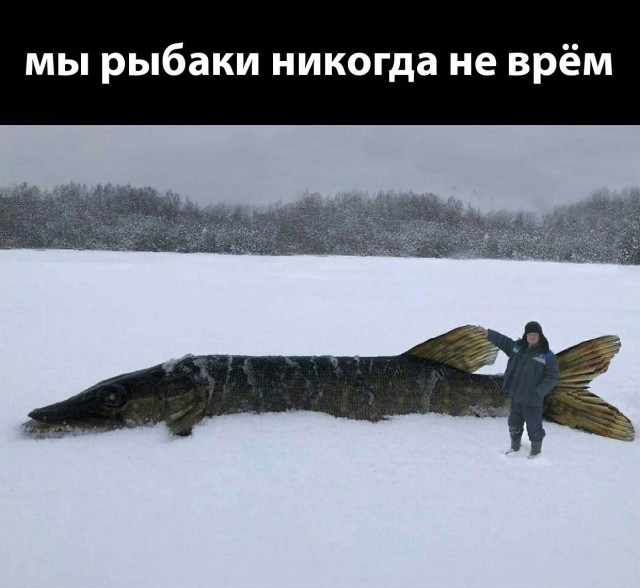 Так себе картинки 04.03.25