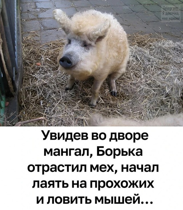 Завалялось тут случайно немного забавных картинок
