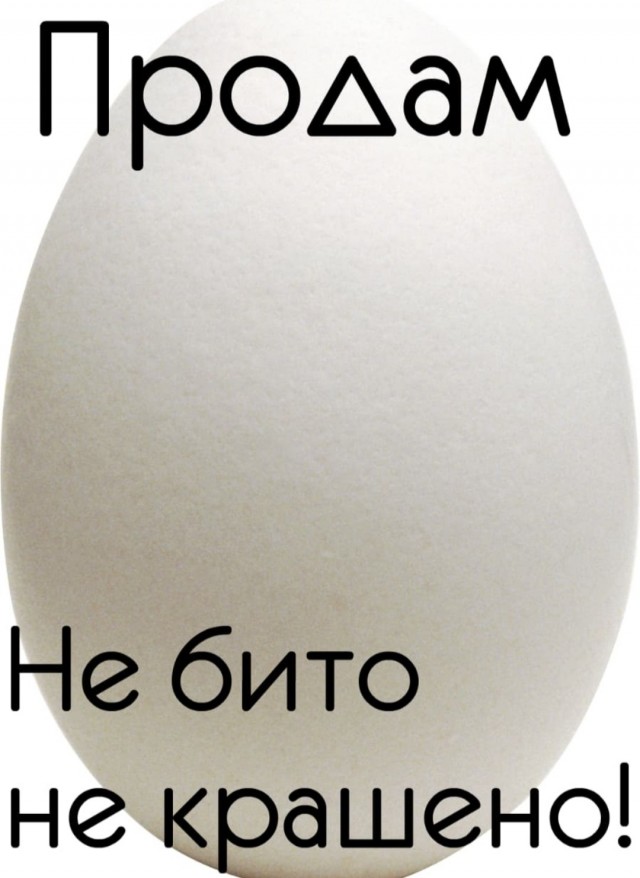 Это его курица
