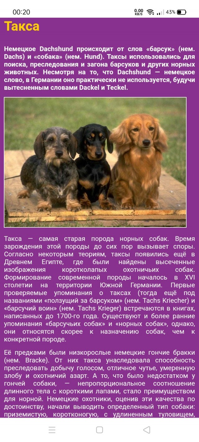 Сань, это они на тебя быкуют?
