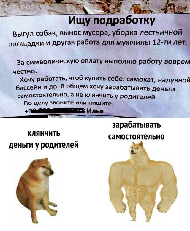Картинки для деградации-4 (разной степени свежести)