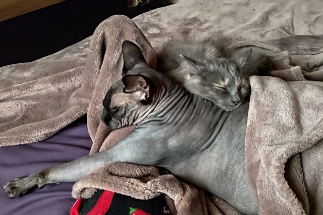 Котосон.