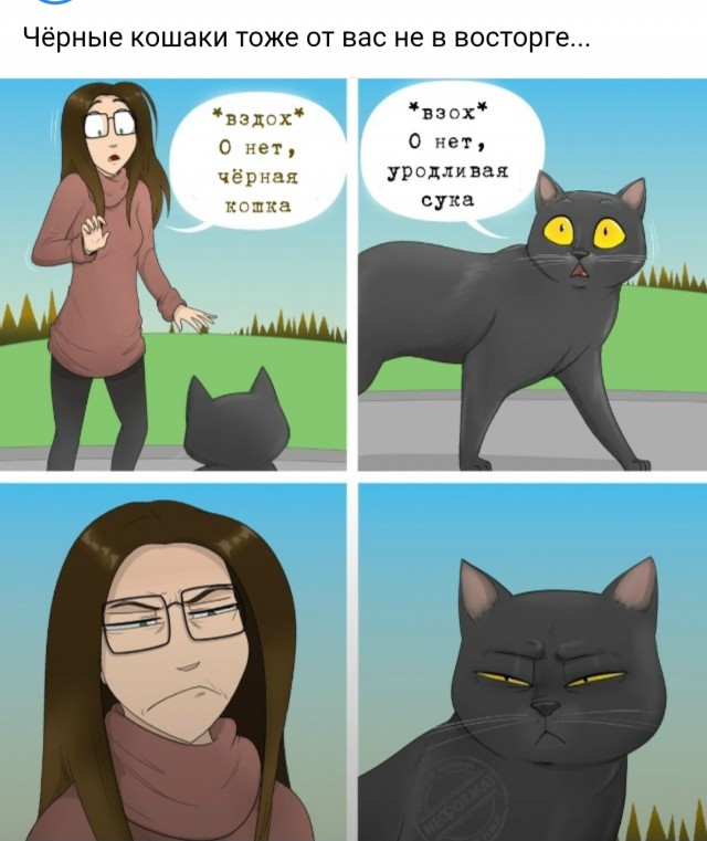 Ночная подборка ненормальных картинок !