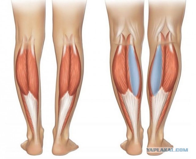 «Тещи лезут в постель, не бреются, ты для них игрушка»: Почему русские мужчины не так уж и сильно хотят жениться на китаянках
