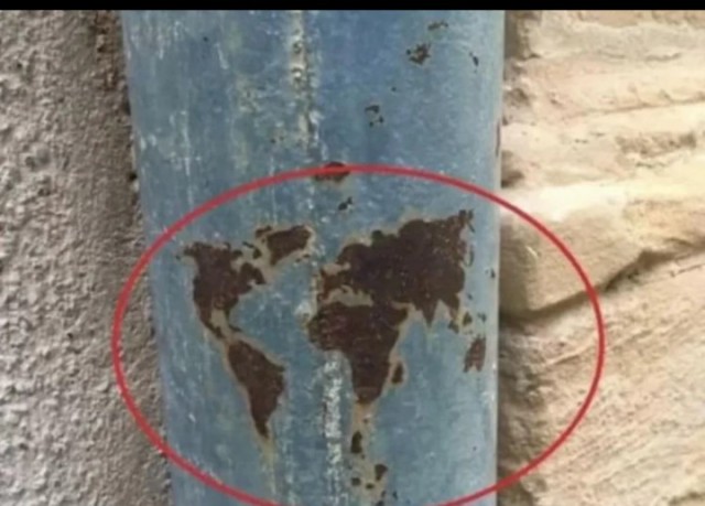 Просто лайтовая дичь