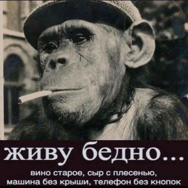 Прикольные и просто красивые картинки 10.10.2025
