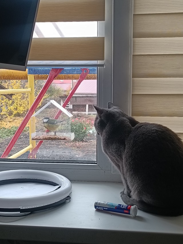 Серое на сером