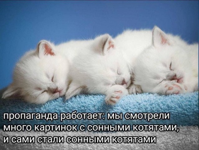 Дегрономикон 10