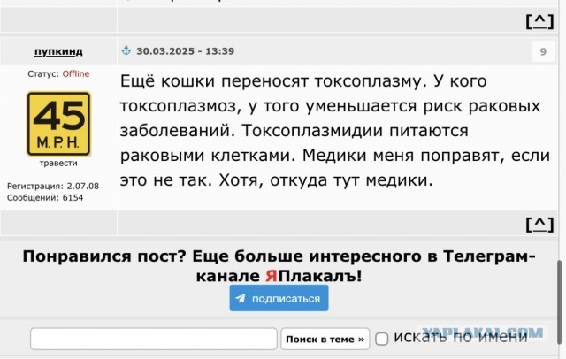 Отношение к собакам в античном мире