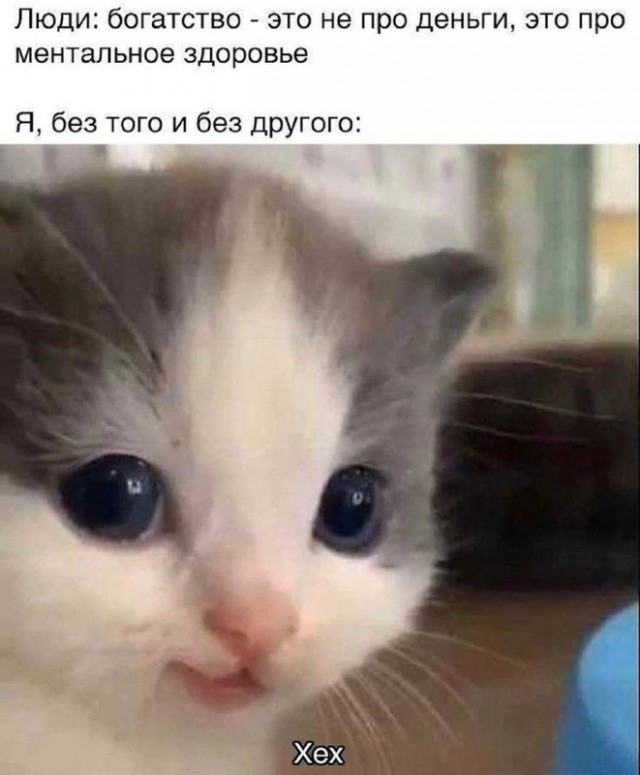 Субботние картинки