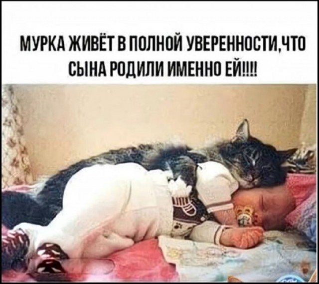 Так себе картинки 22.02.26