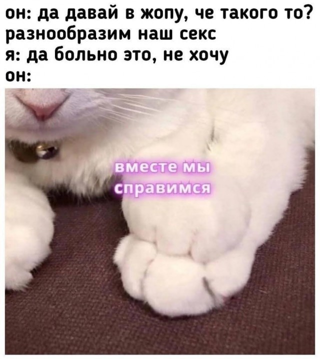 Картинки для деградации 147 (разной степени свежести)