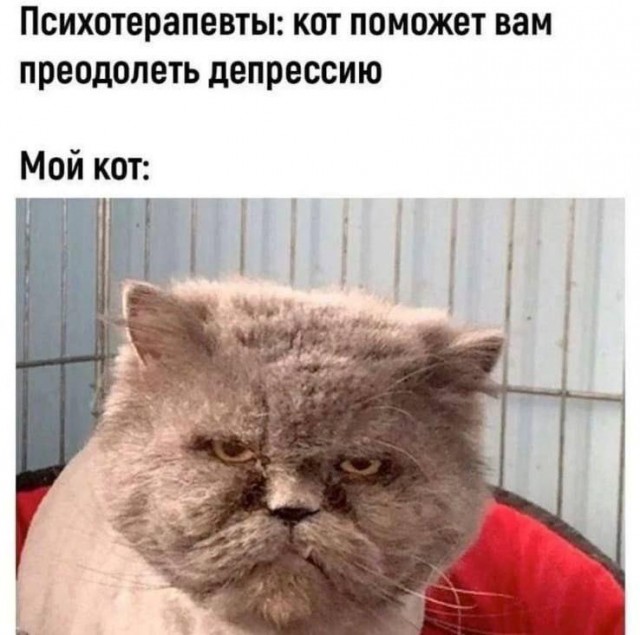 Субботние картинки