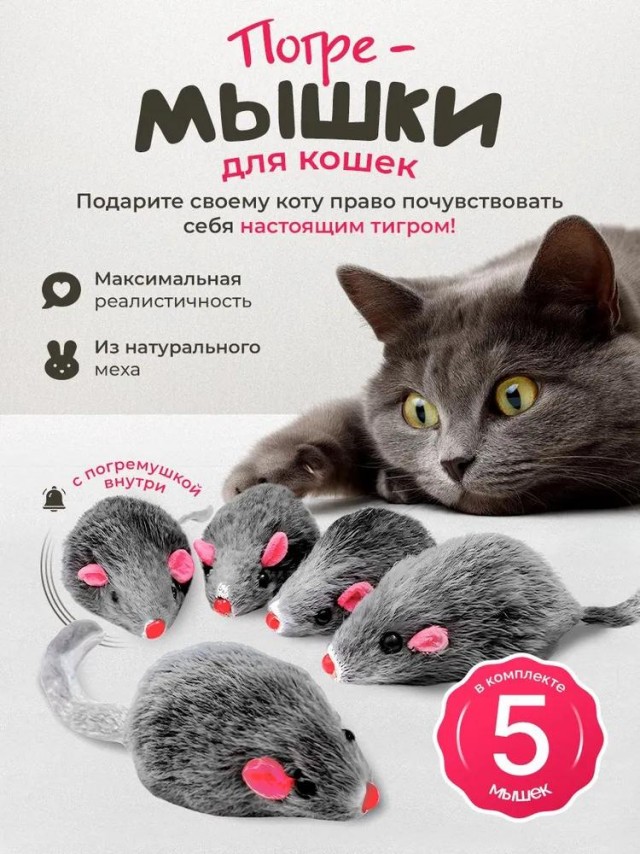 Вопрос к кошачьим рабам