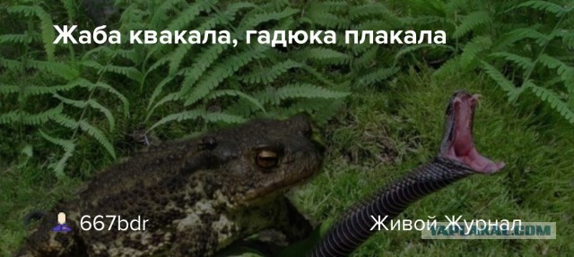 Турция отменила ограничение на прямую торговлю с Арменией