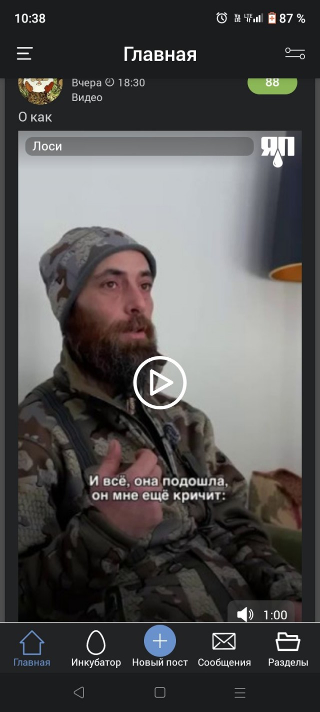 Лоси