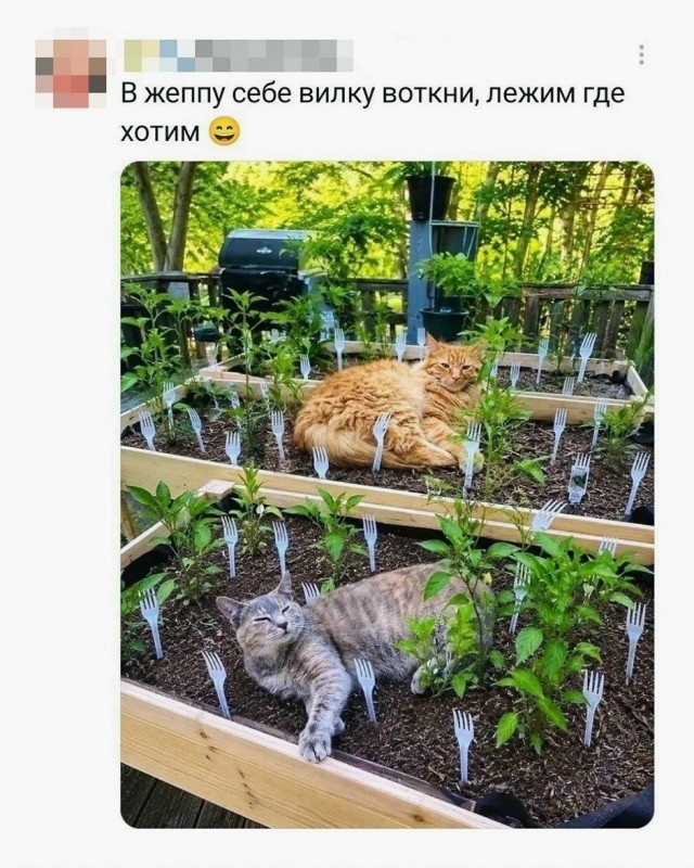 Так себе картинки 27.07.26