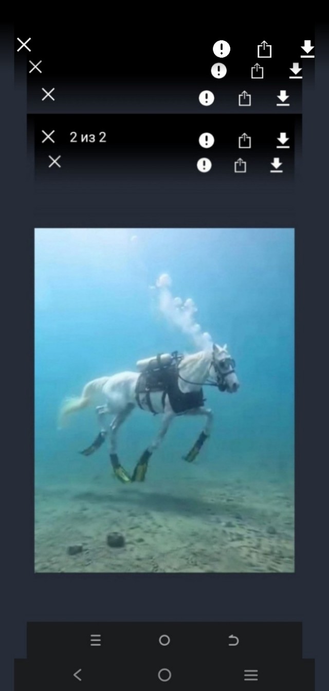 Почему?
