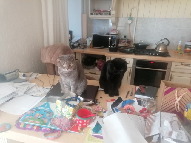 Кошкам & Котам 3,5 миллиарда лет