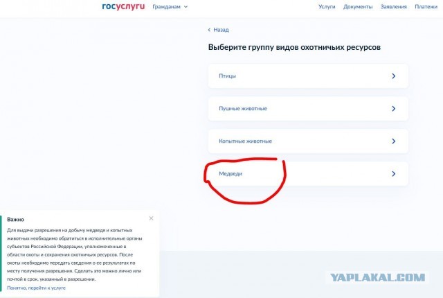 А куда пропали охотники?