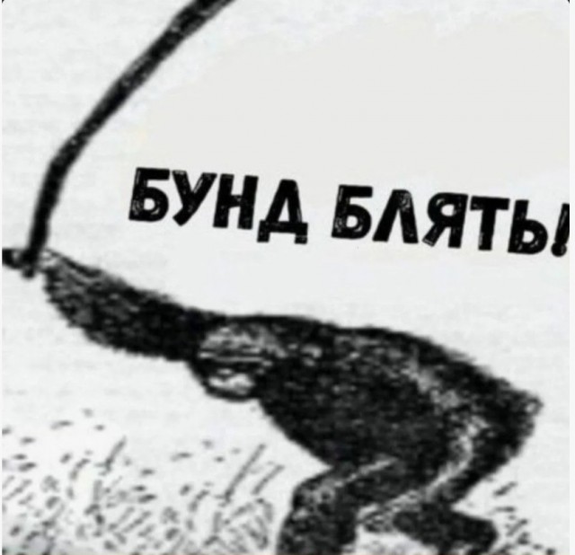 Зачем ВЫ меня подставляете? Гектар земли?