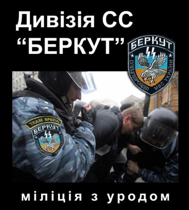 Беркут