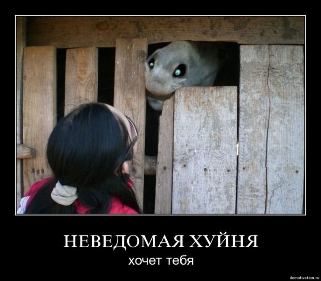 Звериные лица (часть 2)