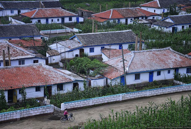 КНДР приоткрыла экспортные ворота для РФ